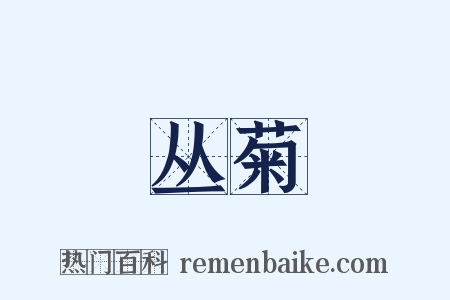 丛菊是什么意思的图片